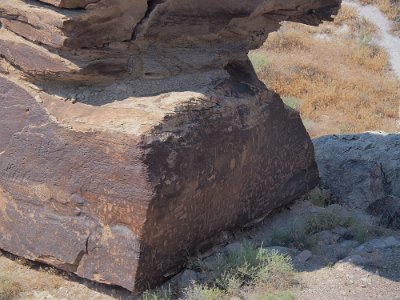 2019-06 Petrified Forest - Painted Desert National Park (17)