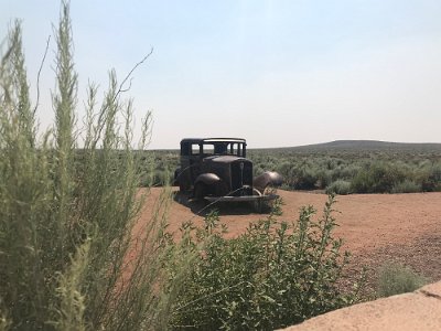 2019-06 Petrified Forest - Painted Desert National Park (5)
