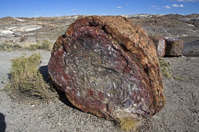 201x Petrified Forest - Painted Desert National Park (13)