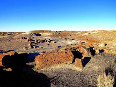 201x Petrified Forest - Painted Desert National Park (2)