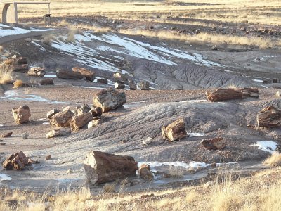 201x Petrified Forest - Painted Desert National Park (3)