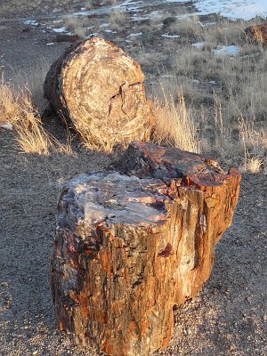201x Petrified Forest - Painted Desert National Park (6)