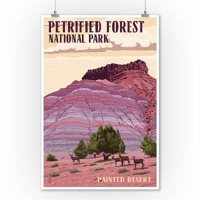 201x Petrified Forest - Painted Desert National Park (9)