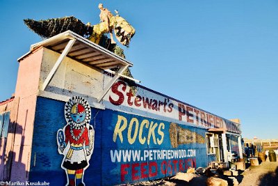 2021 Holbrook - Stewart's Petrified Rockshop