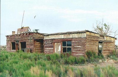 2003 Ella's Frontier by Larry Davidson 2