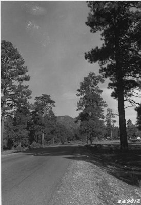 1937 Pine Springs Road