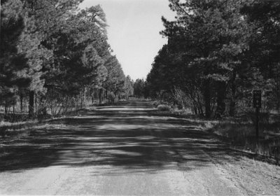 1988-06 Pine Springs road 1