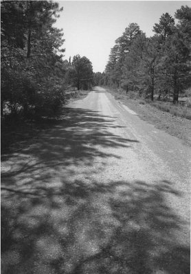 1988-06 Pine Springs road 2