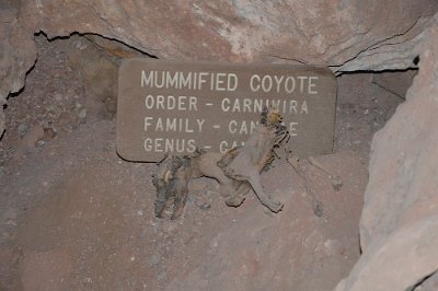 2019-09-18 Grand Canyon Caverns (37)