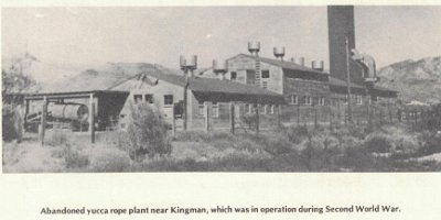 19xx Kingman - Yucca rope plant