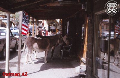 1993-09 Oatman by Sjef van Eijk 1