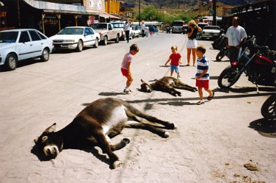 1993-09 Oatman by Sjef van Eijk 4