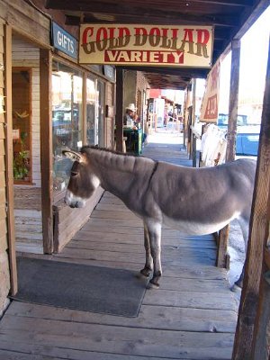 2009 Oatman