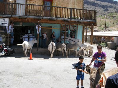 2009-05-17 Oatman