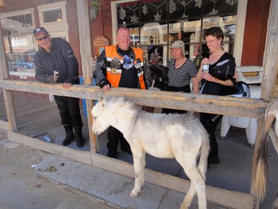 2010 Oatman (12)