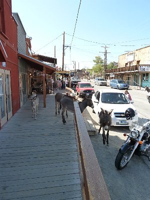 2010 Oatman (4)