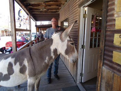 2011 Oatman (6)