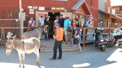 2013-06-25 Oatman (10)