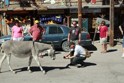 2013-06-25 Oatman (11)