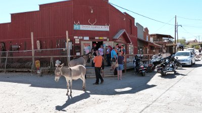 2013-06-25 Oatman (23)