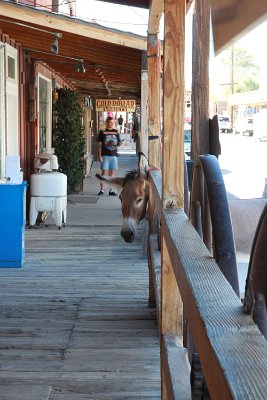 2013-06-25 Oatman (26)