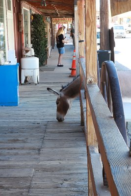 2013-06-25 Oatman (27)