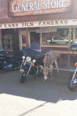 2014-09-02 Oatman (15) METADATA-START��+UUUUUUÞ­¾ï���2�����m�Ü���wUUUUUUUUÞ­¾ï�������UUUUUUUUÞ­¾ïUUUUUUUUÞ­¾ï��UU���UUUUUUUUÞ­¾ï��UUUUUUUUUUUUUUUUUUUUUUUUUUUUUUUUUUUUUUUUUUUUUU...