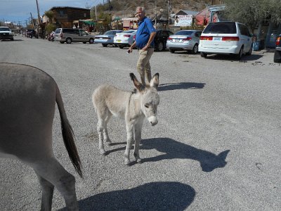 2015-09-08 Oatman (46)