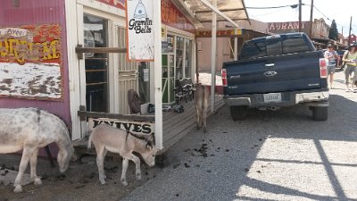 2015-09-08 Oatman (73) User comments