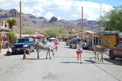 2015-09-08 Oatman (76)