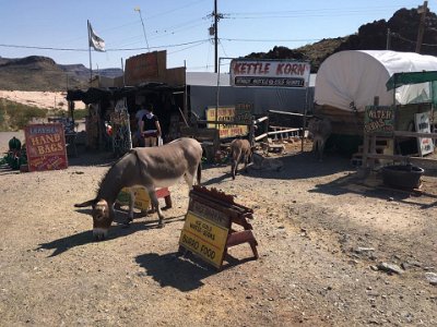 2017-09-06 Oatman2