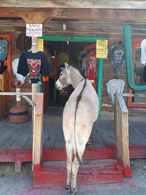 2019-05-14 Oatman