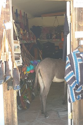 2019-09-19 Oatman (1)