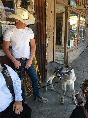 2019-09-19 Oatman (17)