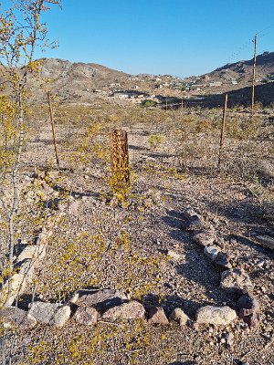 2022-07-19 Oatman cemetery (12)