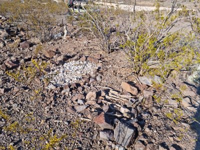 2022-07-19 Oatman cemetery (22)