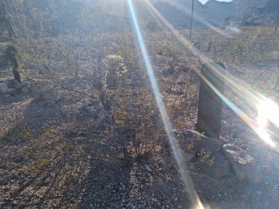 2022-07-19 Oatman cemetery (7)