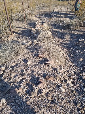 2022-07-19 Oatman cemetery (9)