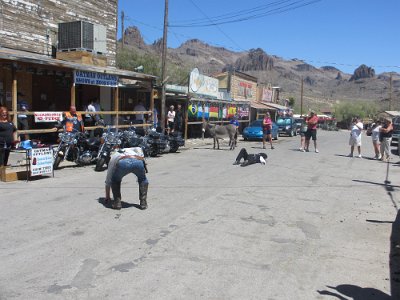 2012 Oatman arrest (24)