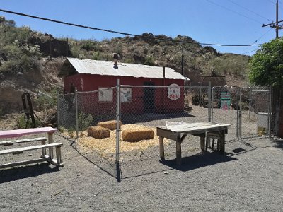 2017-05 Oatman (4)