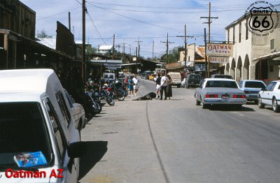 1993-09 Oatman by Sjef van Eijk 3