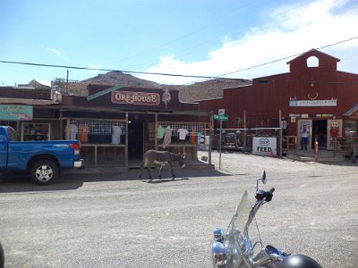 2015-09-08 Oatman (66)