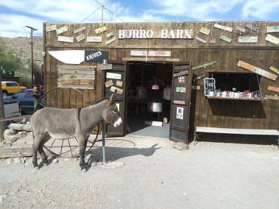 201x Oatman - Burro Barn