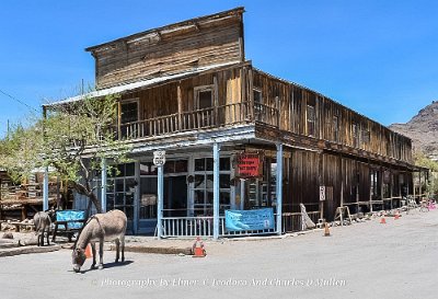 2022-05 Oatman by Elmer Teodoro 8