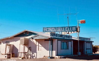 2022 Yucca - Honolulu club by Mariko Kusakabe
