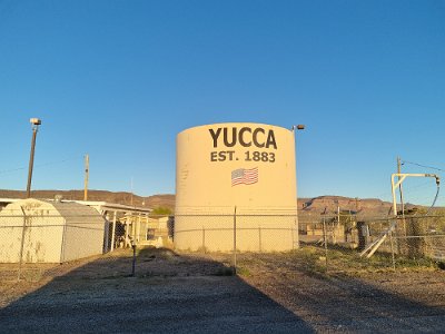 2024-04-03 Yucca (4)