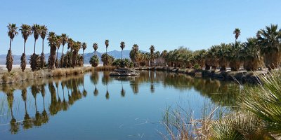 2016-02 Zzyzx-Road-and-Mineral-Springs (12) JKJK :\Ã�Ã»  V Ãª   IÃž    ÂŒj      x      Ã� Âž  Ã¦Ã¤    DÂ† ÂƒÃŠ e#Ã¿Ã¿  SÂ´Ã¿Ã¿
 ÂžÃ†Ã¿Ã¿Â›Ã¾Ã¿Ã¿Ã»Ã·Ã¾Ã¿j...