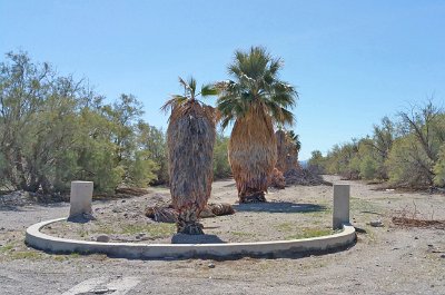 2016-02 Zzyzx-Road-and-Mineral-Springs (2) JKJK :\Ã�Ã»  V Ã³   IÃž    ÂŒj      Â�      Ã¬ H  Â°Ã—    Ã…Â“ ÂƒÃŠ e#Ã¿Ã¿  SÂ´Ã¿Ã¿
 ÂžÃ†Ã¿Ã¿Â›Ã¾Ã¿Ã¿Ã»Ã·Ã¾Ã¿j...