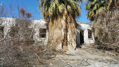2016-02 Zzyzx-Road-and-Mineral-Springs (29) JKJK :\Ã�Ã»  V Ã†   IÃž    ÂŒj      h      Â¹ V   ÃŒ    Â›Â� ÂƒÃŠ e#Ã¿Ã¿  SÂ´Ã¿Ã¿
 ÂžÃ†Ã¿Ã¿Â›Ã¾Ã¿Ã¿Ã»Ã·Ã¾Ã¿j...