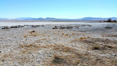2016-02 Zzyzx-Road-and-Mineral-Springs (31) JKJK :\Ã�Ã»  V Ã±   IÃž    ÂŒj            u  .  Â·Ã     ÂŠ ÂƒÃŠ e#Ã¿Ã¿  SÂ´Ã¿Ã¿
 ÂžÃ†Ã¿Ã¿Â›Ã¾Ã¿Ã¿Ã»Ã·Ã¾Ã¿j...